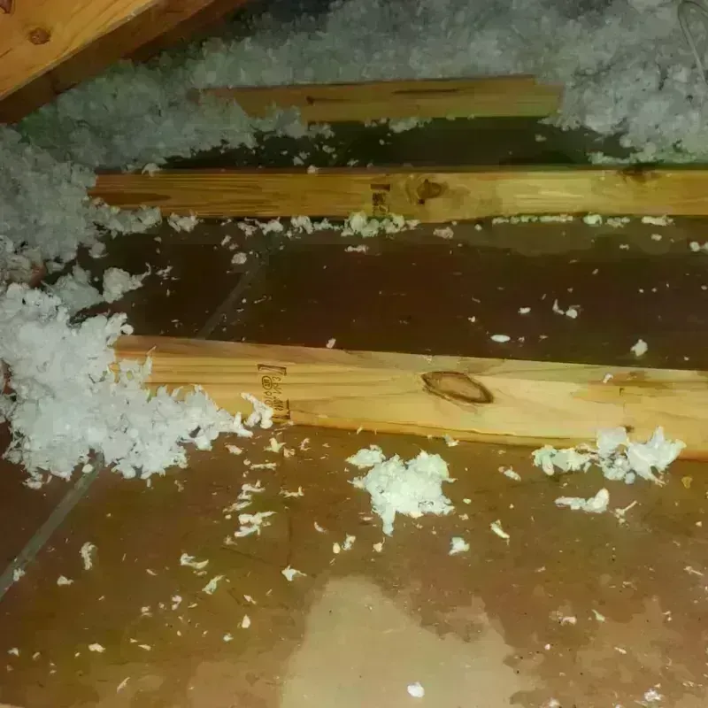 Attic Water Damage in Brookdale, CA